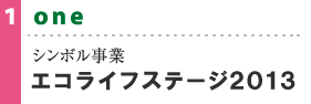 シンボル事業 エコライフステージ2013