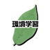 環境学習